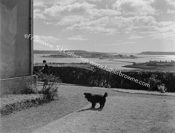 VIEW OF CORK HARBOUR FROM FORT VILLAS